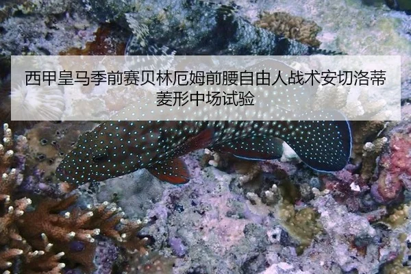 西甲皇马季前赛贝林厄姆前腰自由人战术安切洛蒂菱形中场试验