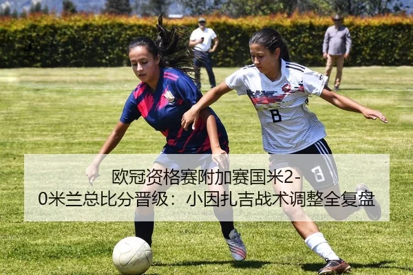 ou-guan-zi-ge-sai-fu-jia-sai-guo-mi-mi-lan-zong-bi-fen-jin-ji-xiao-yin-zha-ji-zhan-shu-tiao-zheng-quan-fu-pan-3-174.jpg